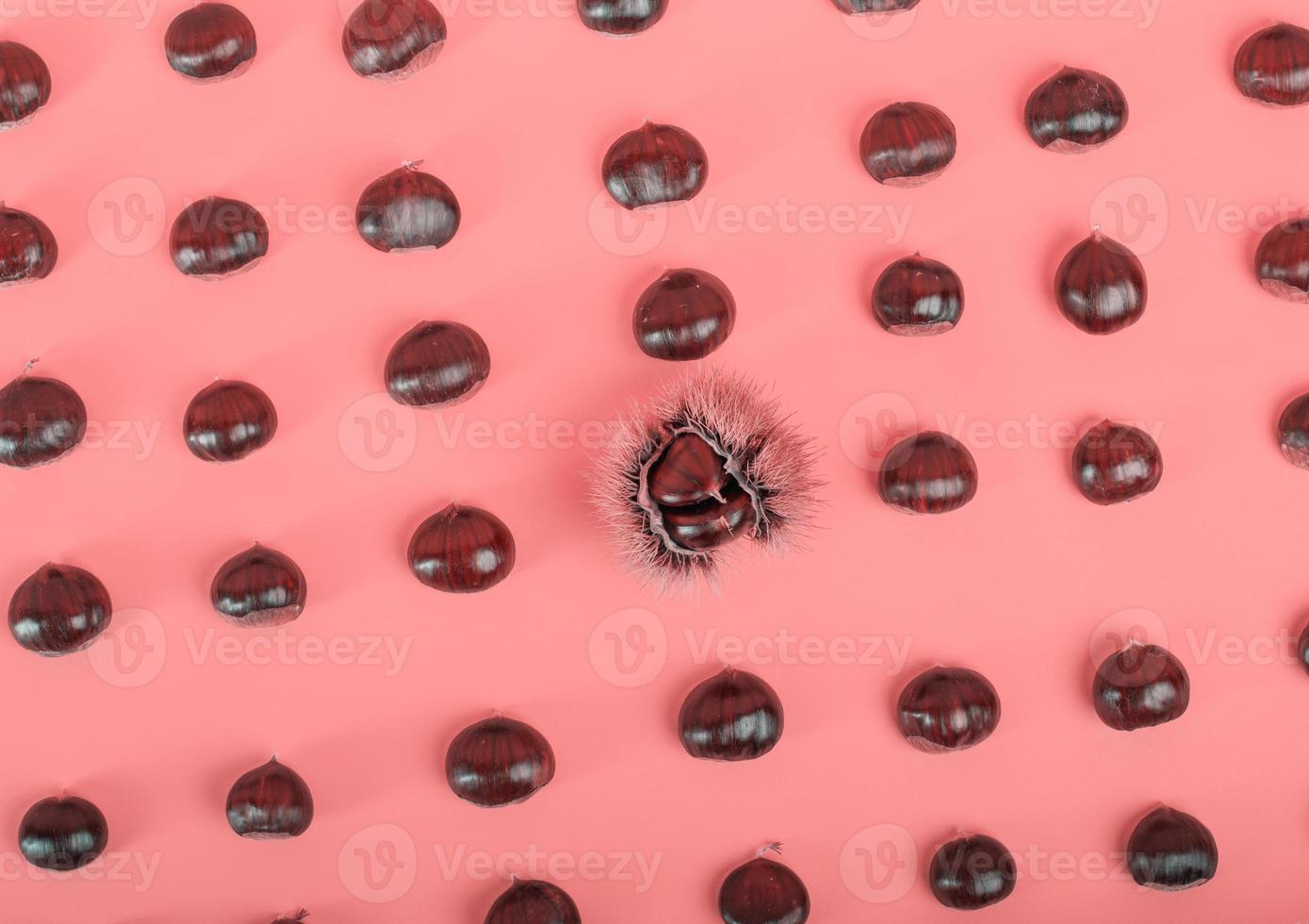 Stylish composition of chestnut on pink background photo