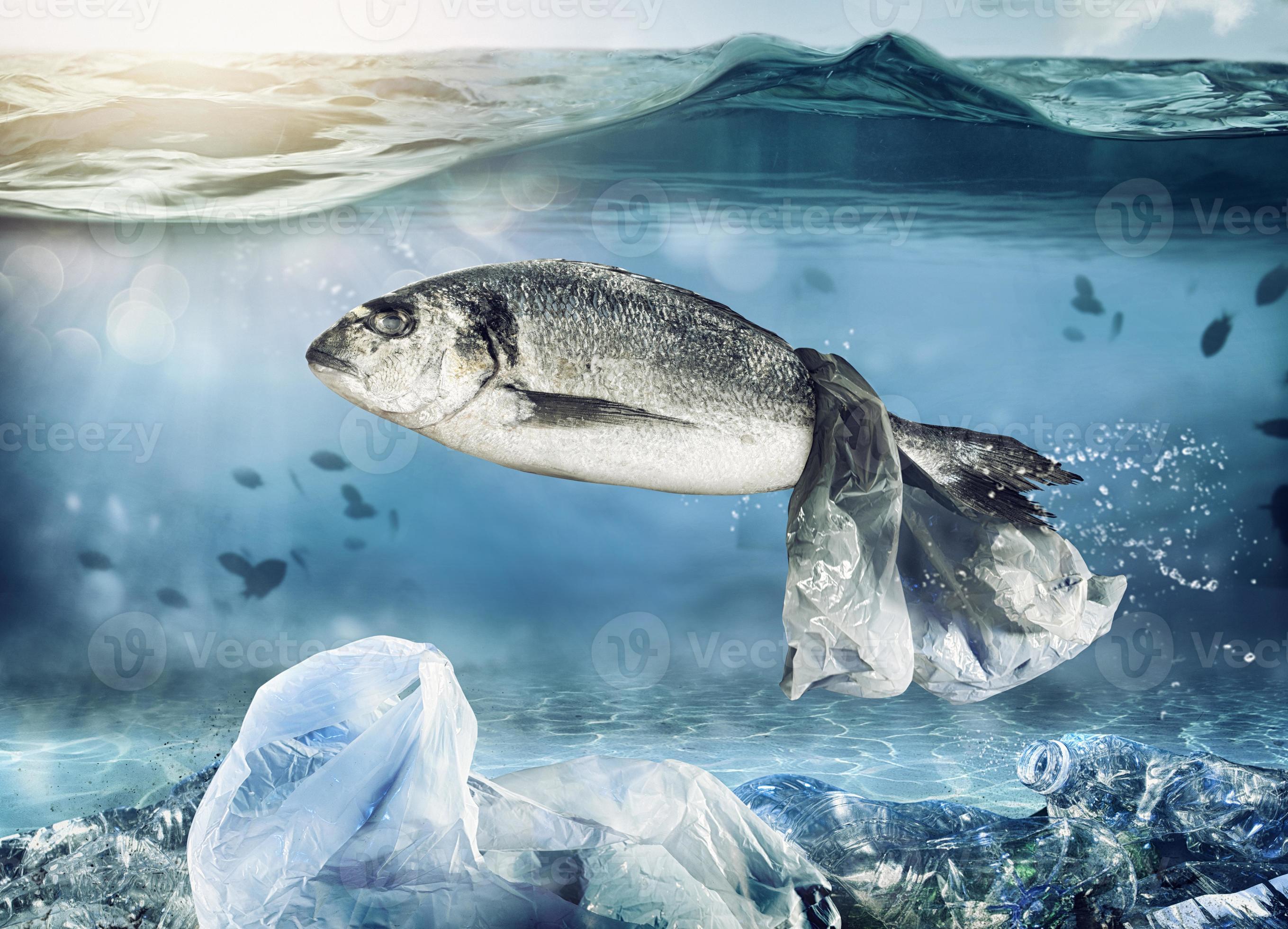 Trapped fish by a floating bag. Problem of plastic pollution under the sea  concept 20688601 Stock Photo at Vecteezy