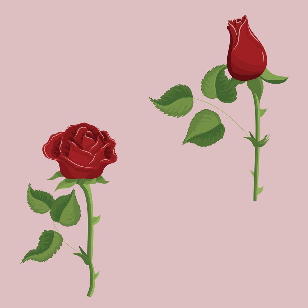 Red rose on a pink background. Seamless pattern. Previous illustration. vector