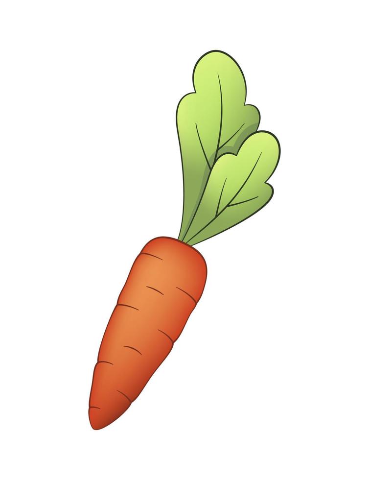 Drawing carrots in a cartoon style. Isolated vector object for decor. Illustration for children, children's design.