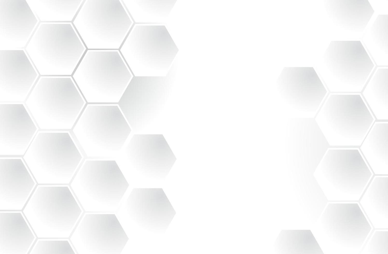 3D White abstract background with hexagons vector