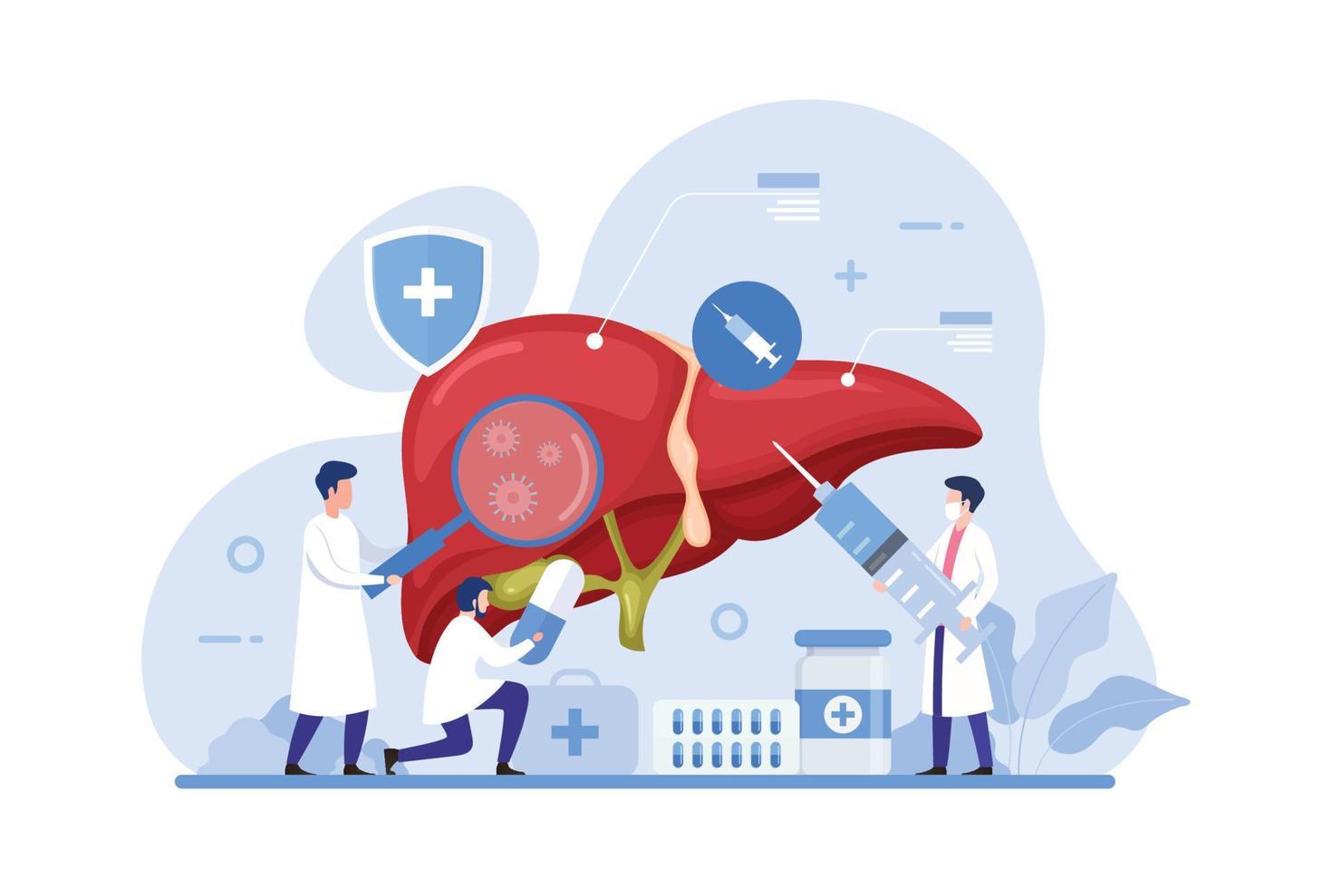 Doctor make liver examination design concept vector