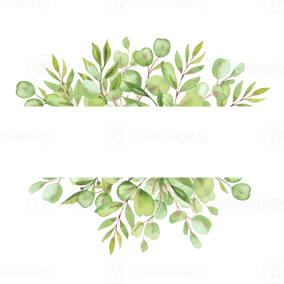 cadre d'illustration aquarelle avec feuilles et verdure d'eucalyptus png