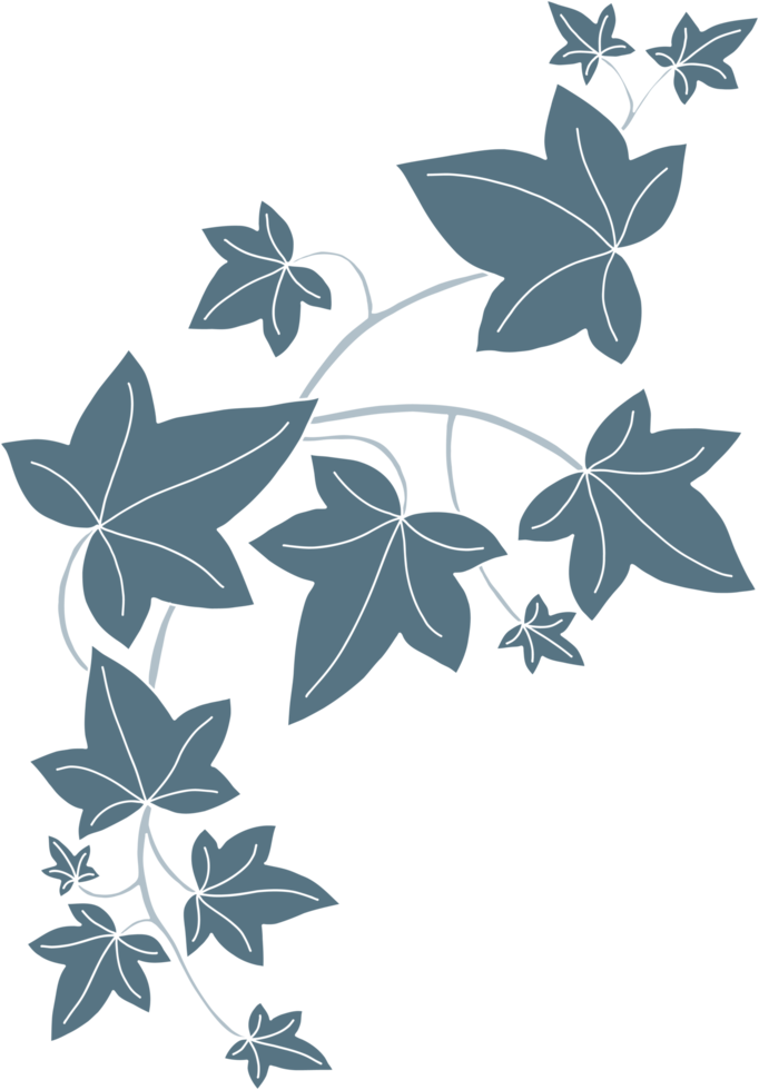 Simplicity ivy freehand drawing png