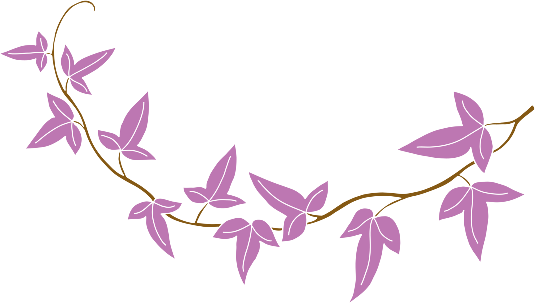 Simplicity ivy freehand drawing png