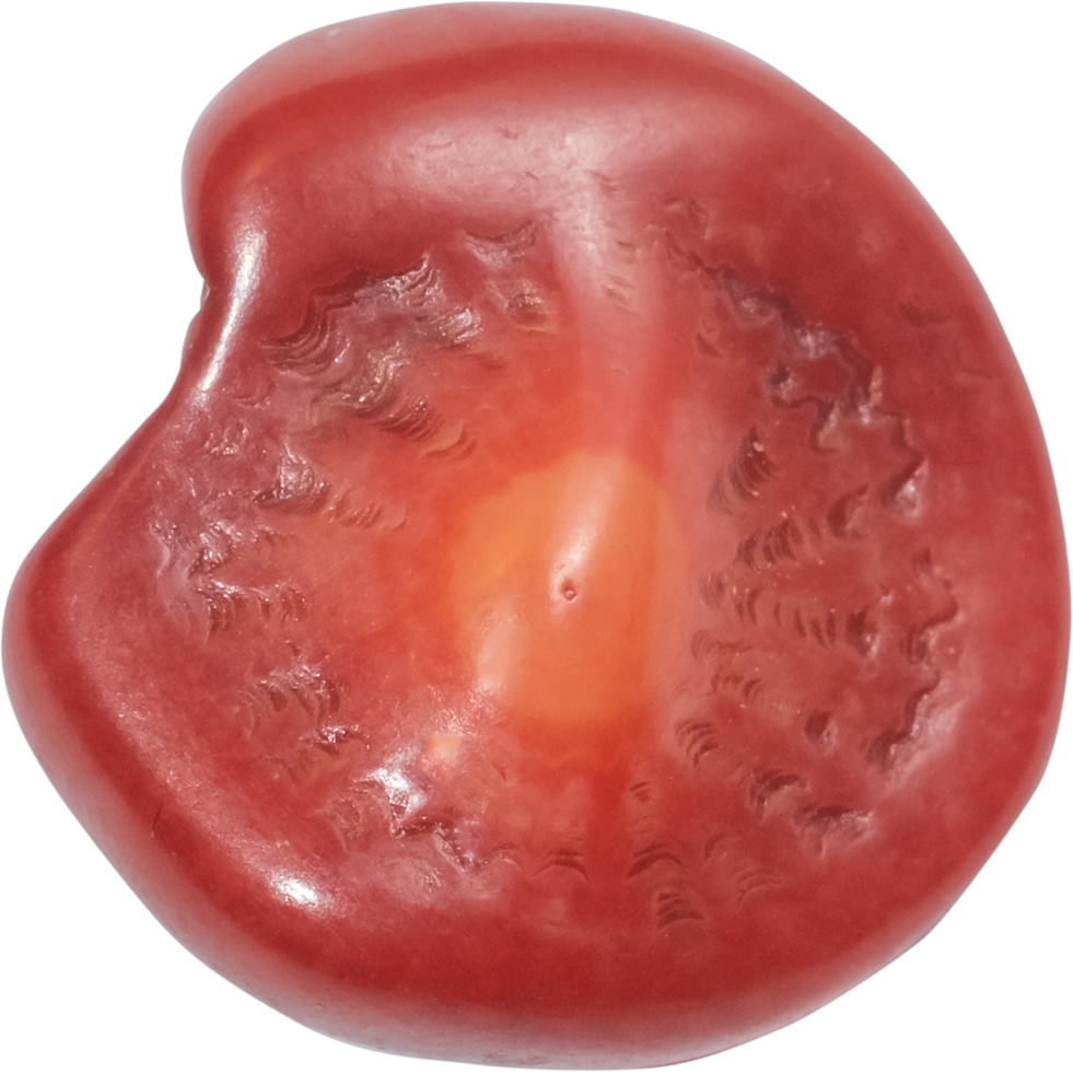 healing stone cut out on transparent background. png