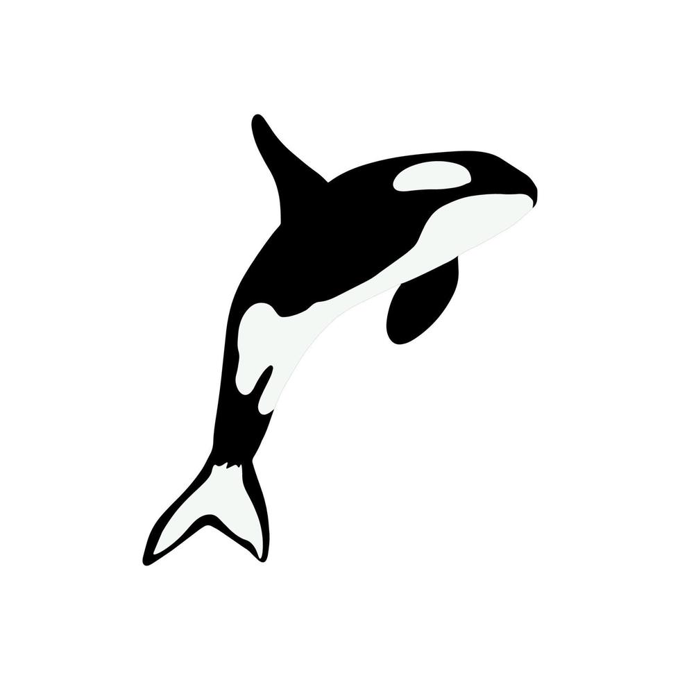 orca ballenas mar animal asesino ballenas marina animal en escandinavo estilo. vector
