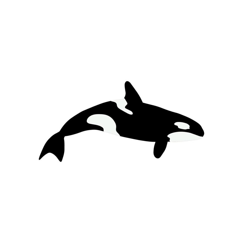 Orca whales. Sea animal killer whales. Marine animal in Scandinavian style. vector