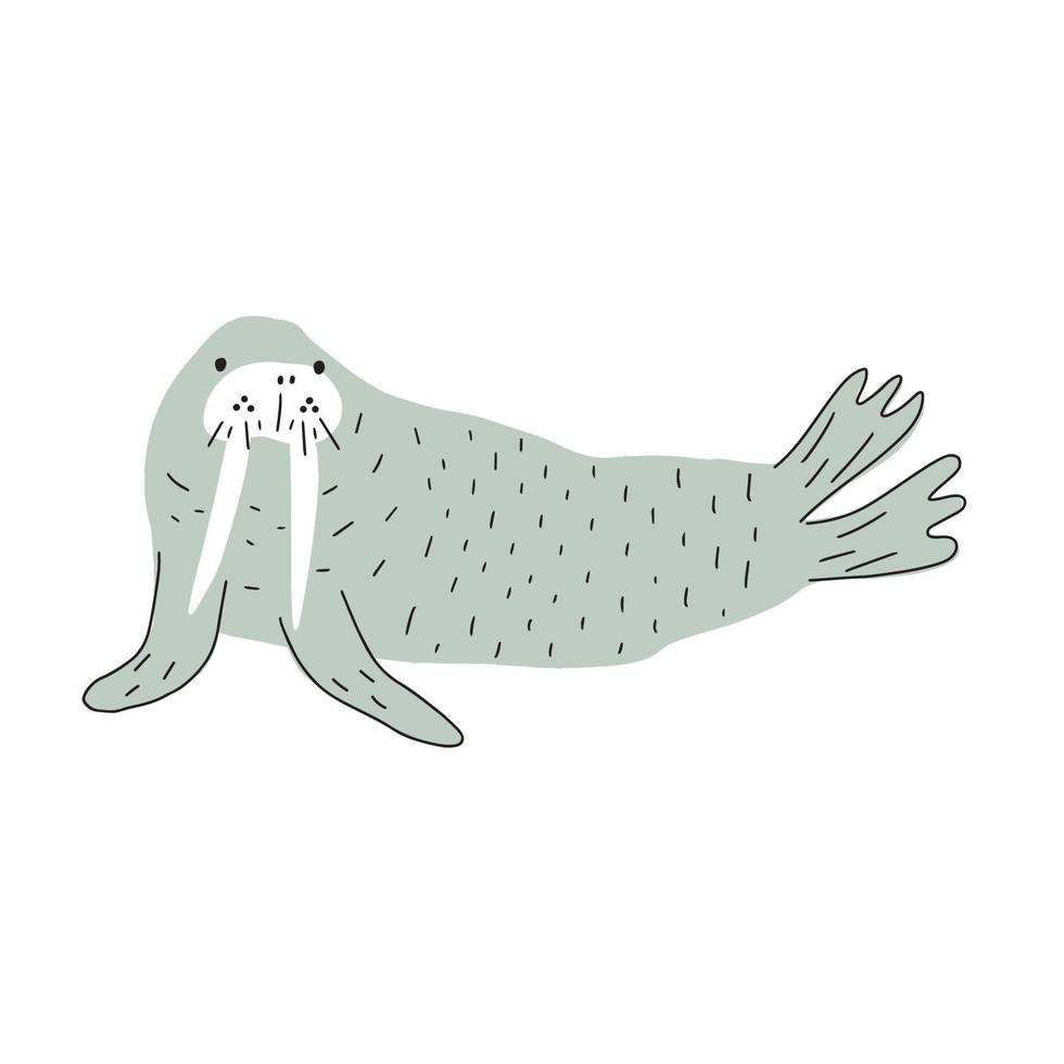 Cute walrus in Scandinavian style on a white background. Vector hand drawn kids illustration. Sea ocean. Underwater world