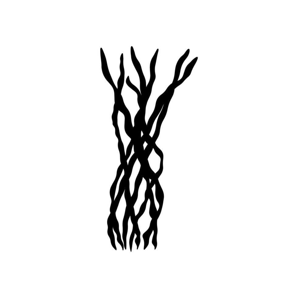 Coral. Underwater plant. Vector illustration in black color. Seaweed.