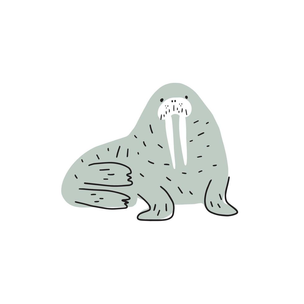 Cute walrus in Scandinavian style on a white background. Vector hand drawn kids illustration. Sea ocean. Underwater world