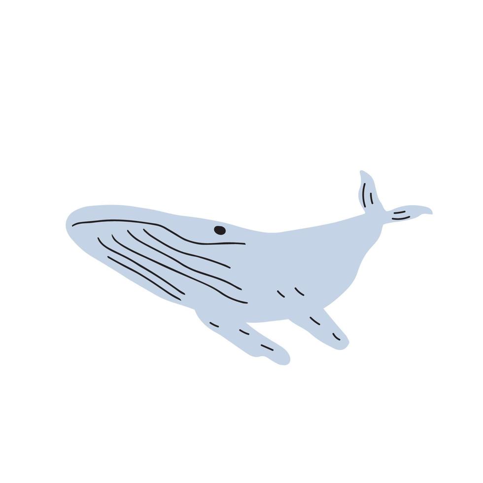 ballena, Oceano animal. vida marina en escandinavo estilo en un blanco antecedentes. genial para póster, tarjeta, vestir impresión. vector ilustración