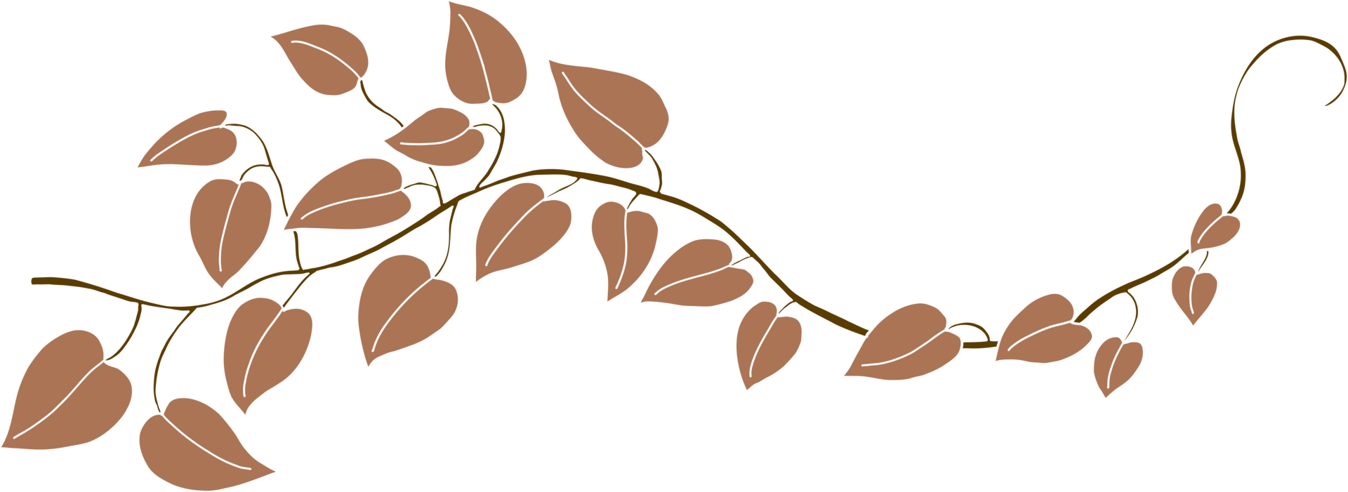 Simplicity ivy freehand drawing png