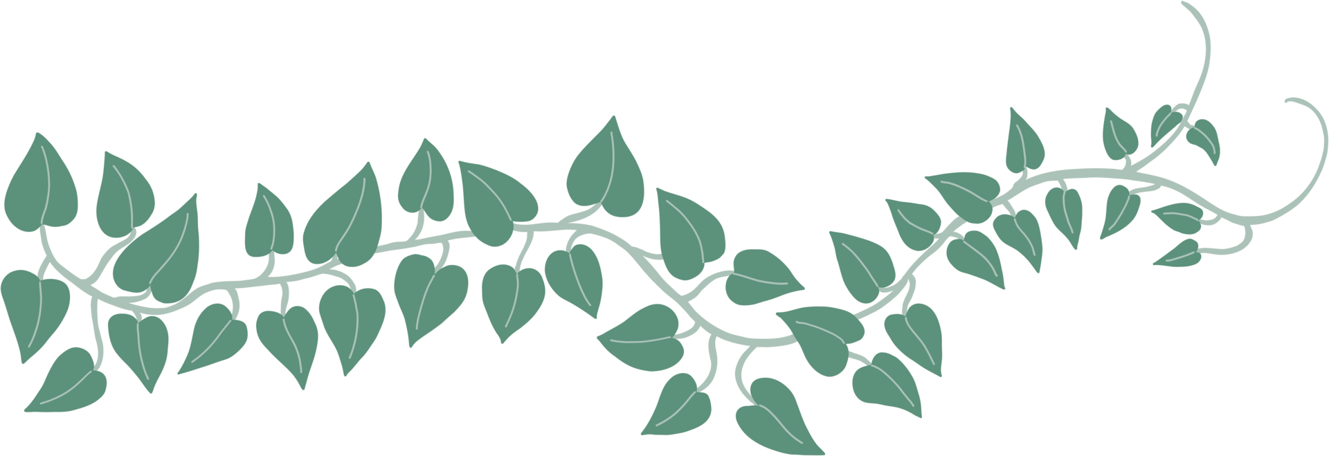 Simplicity ivy freehand drawing. png