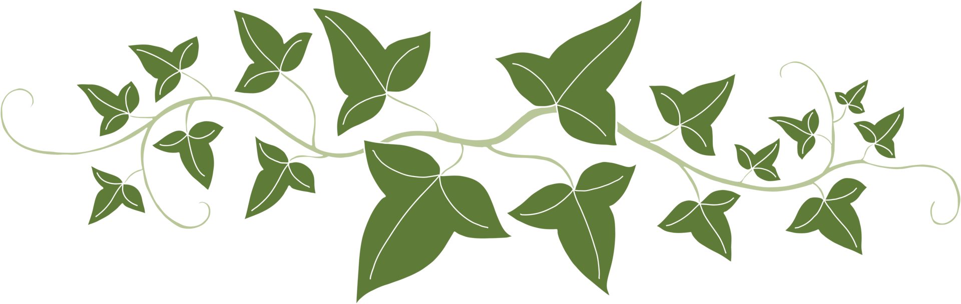 Simplicity ivy freehand drawing png