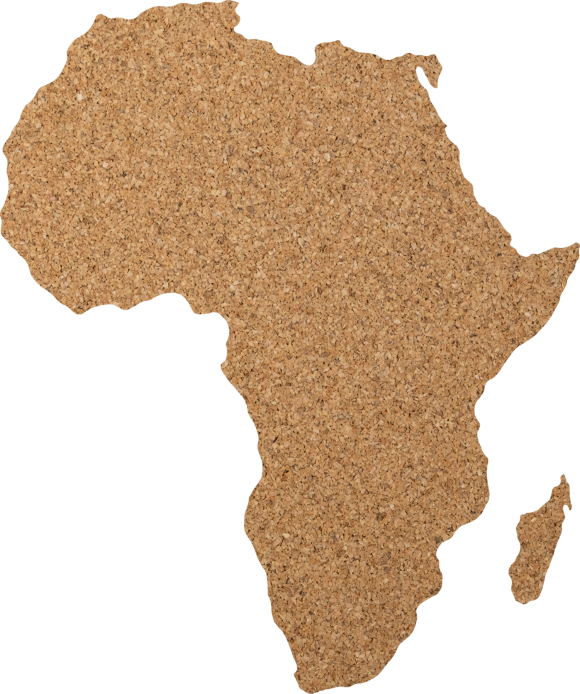 Africa map cork wood texture cut out on transparent background. png