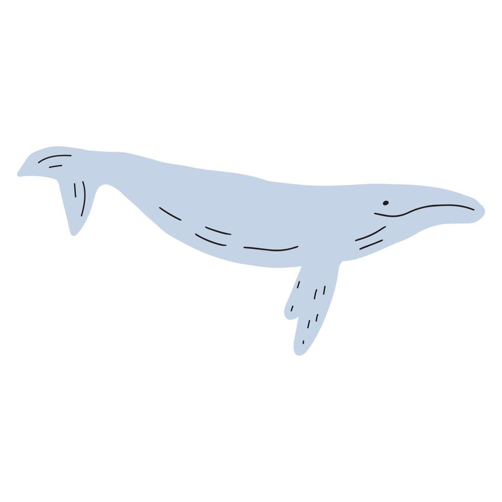 Whale, ocean animal. Sealife in Scandinavian style on a white background. Great for poster, card, apparel print. Vector illustration