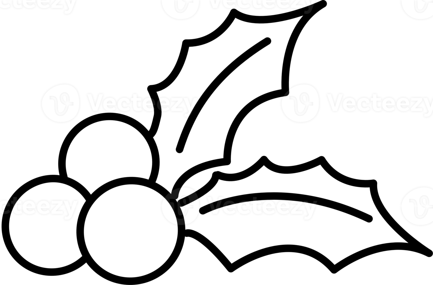 holly outline hand drawn 20695692 PNG