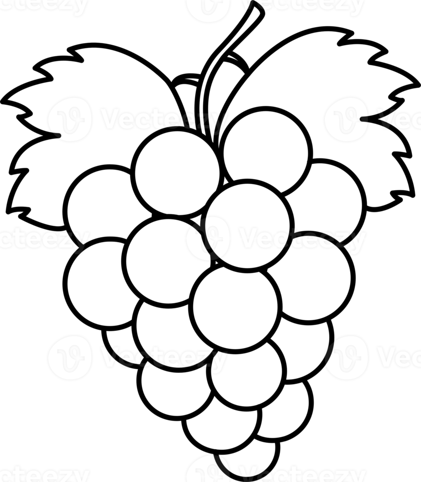 uva esboço mão desenhado png