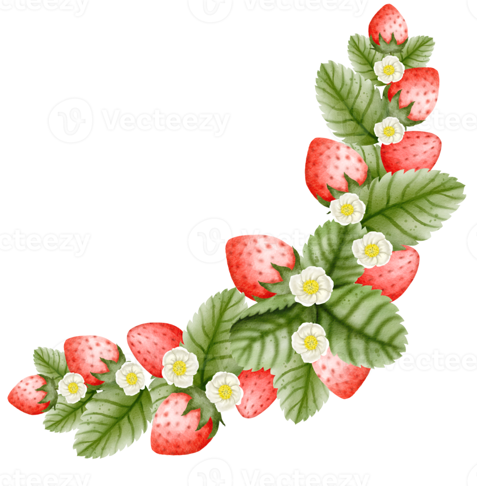 watercolor strawberry hand drawn png