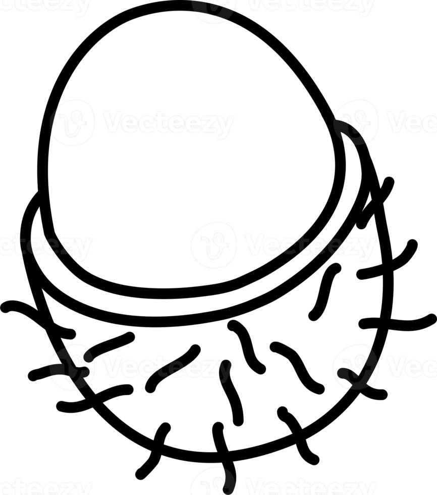 rambutan esboço mão desenhado png