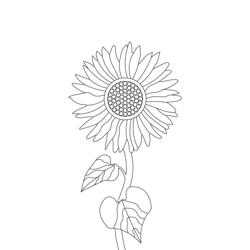 girasol colorante página y libro mano dibujado línea Arte vector