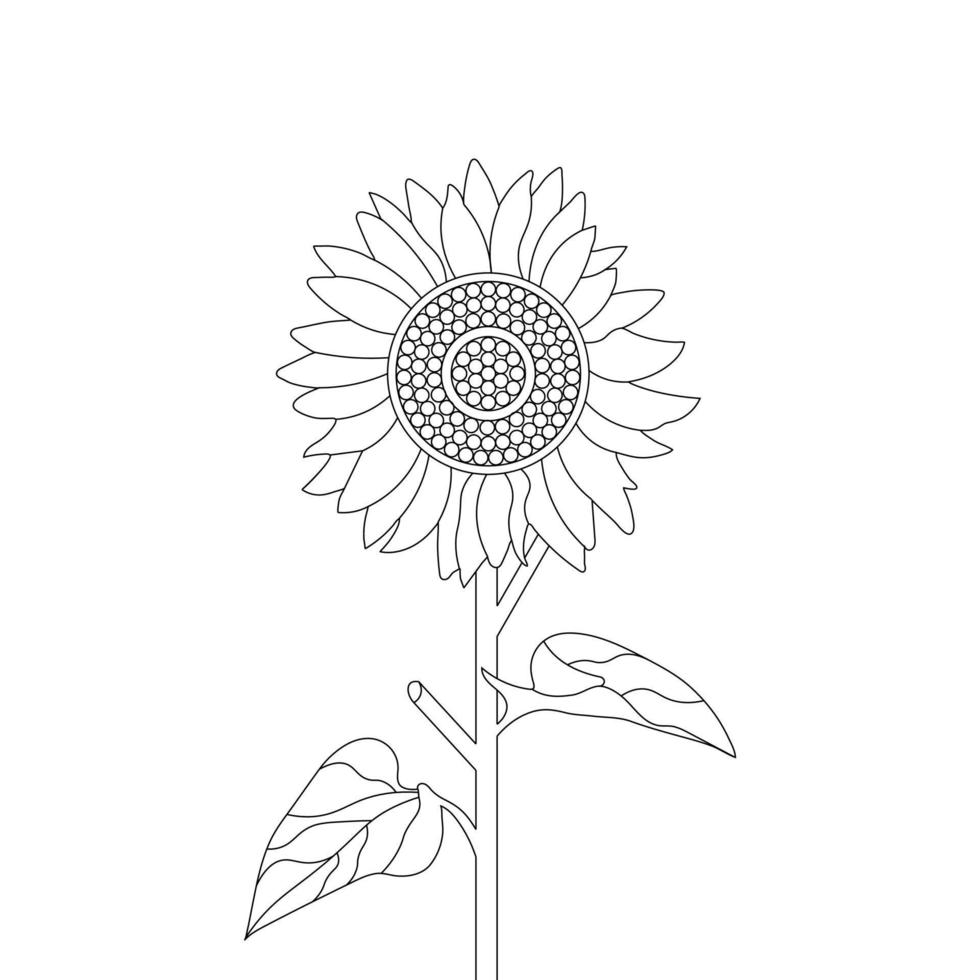 Sunflower Coloring Page And Book Hand Drawn Line Art Vector