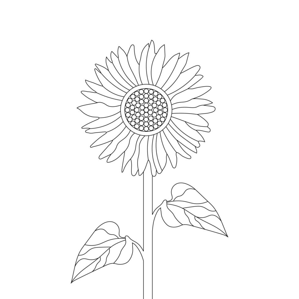 girasol colorante página y libro mano dibujado línea Arte vector