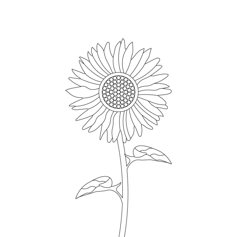 Sunflower Coloring Page And Book Hand Drawn Line Art Vector