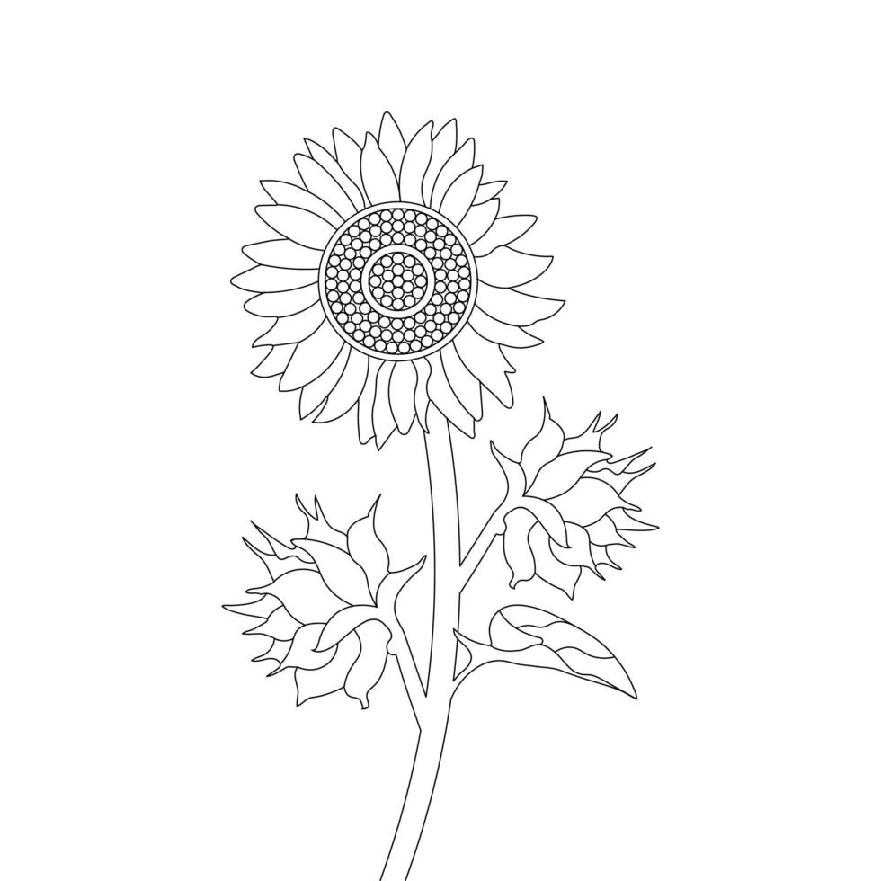 Sunflower Coloring Page And Book Hand Drawn Line Art Vector