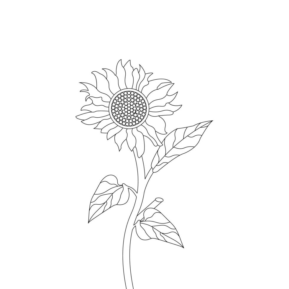 Sunflower Coloring Page And Book Hand Drawn Line Art Vector