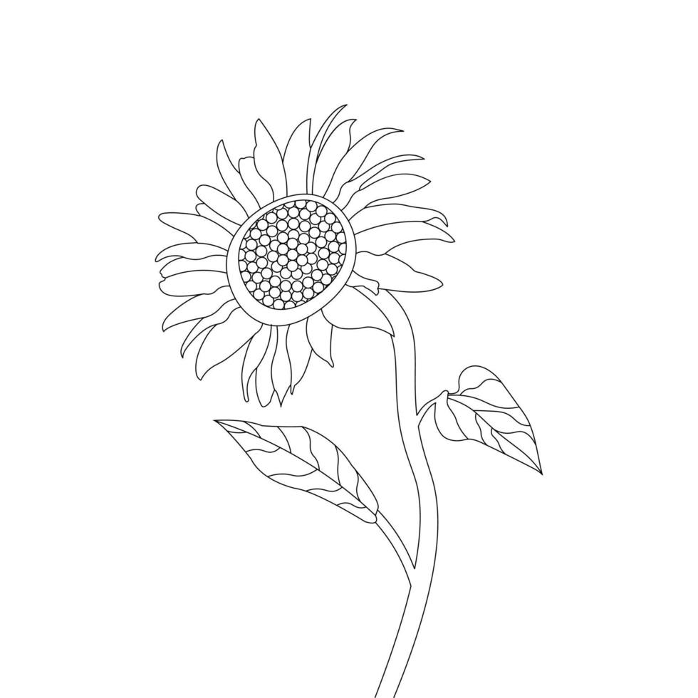 Sunflower Coloring Page And Book Hand Drawn Line Art Vector