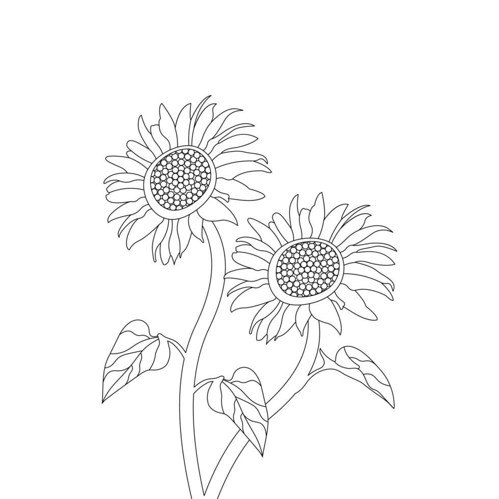 Sunflower Coloring Page And Book Hand Drawn Line Art Vector