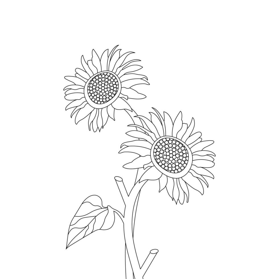 Sunflower Coloring Page And Book Hand Drawn Line Art Vector