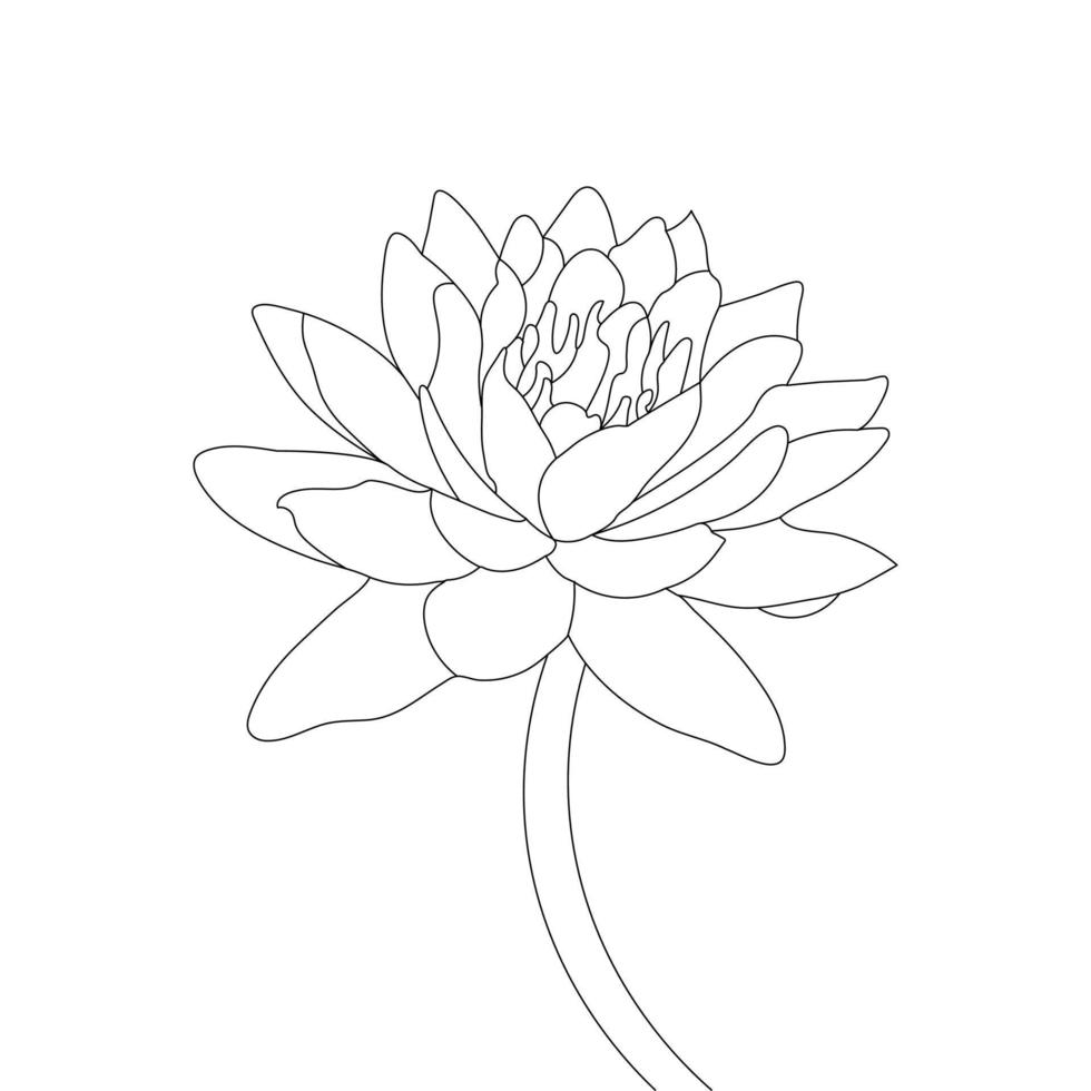 30 Water Lily Flower Drawing Coloring Pages