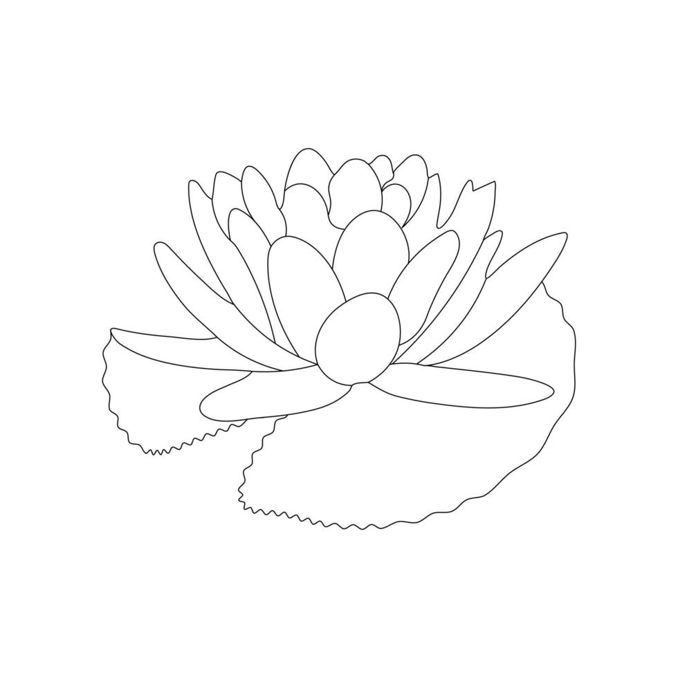 Water Lily Flower Coloring Page And Book lotus Hand Drawn Line Art Vector