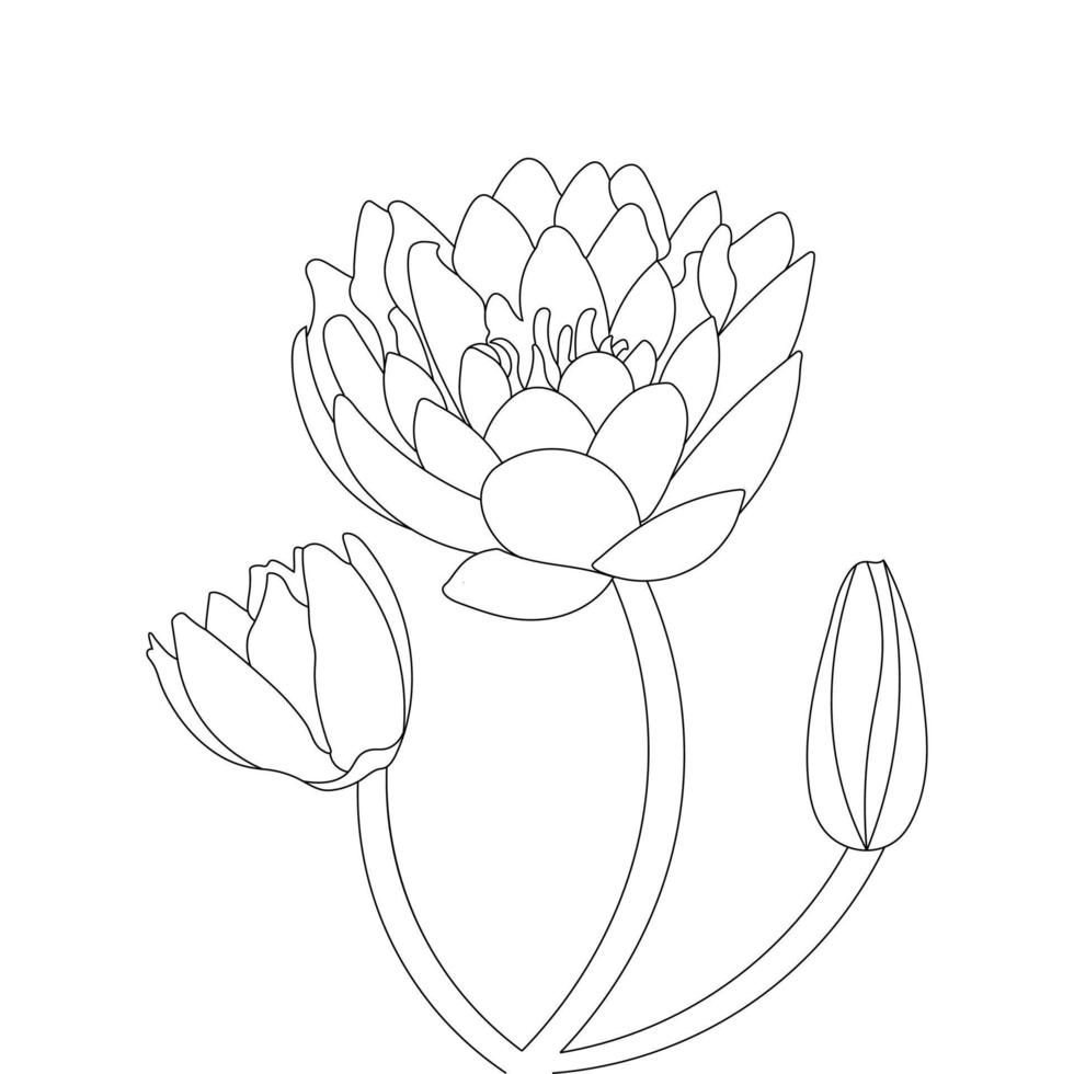 Water Lily Flower Coloring Page And Book lotus Hand Drawn Line Art Vector
