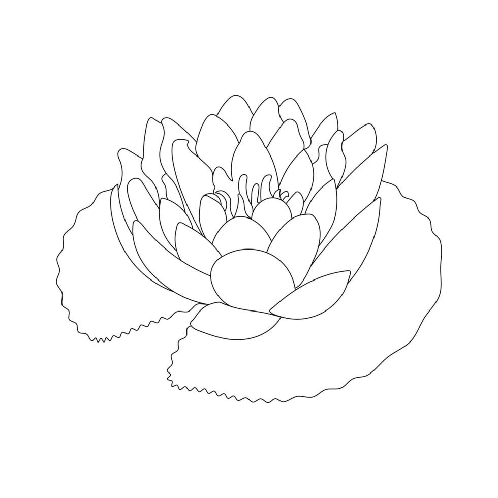 Water Lily Flower Coloring Page And Book lotus Hand Drawn Line Art Vector