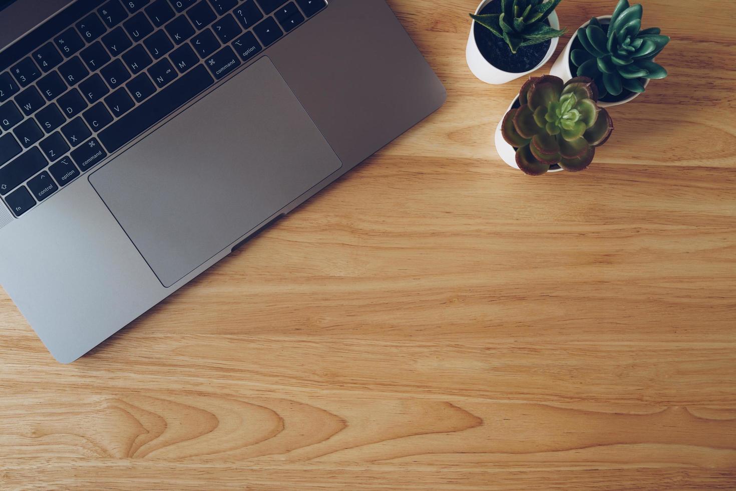 Laptop and succulent in pot plant on wooden table top view. photo