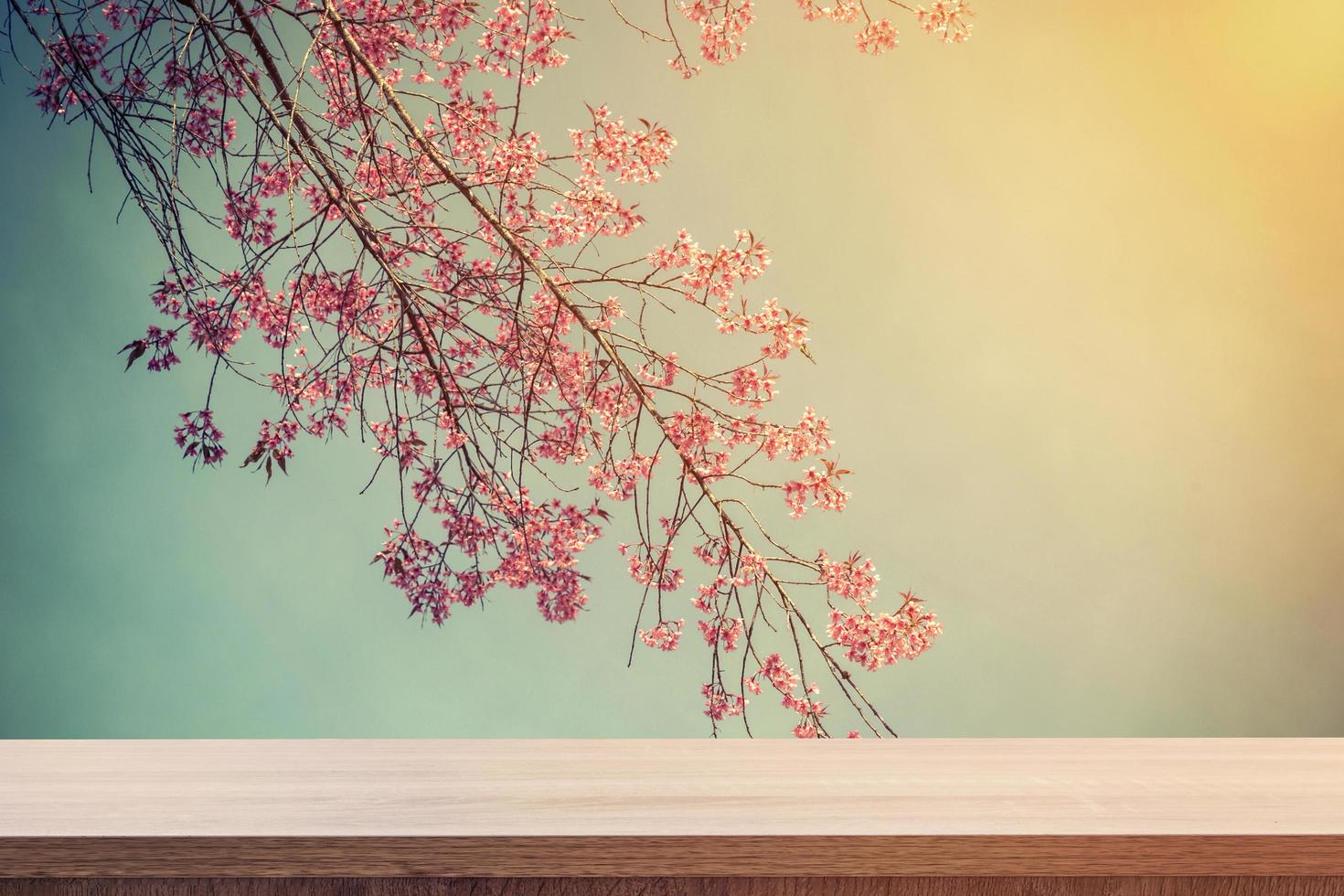 Empty wooden table for product placement or montage and pink blossom with vintage toned. photo