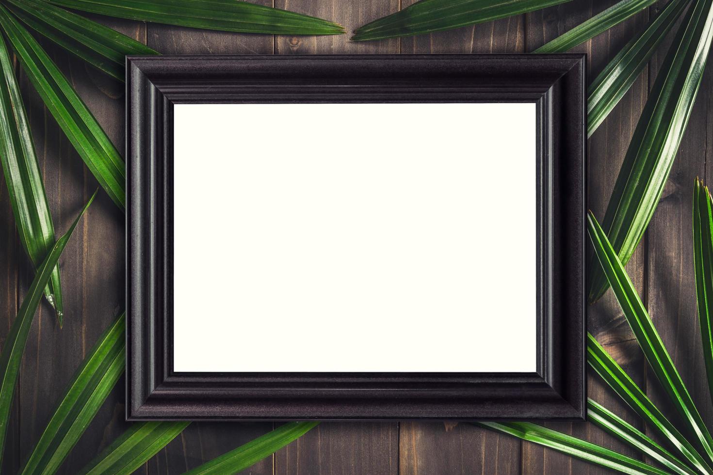 Top view wood frame and green leaf palm tropical on wood background. photo