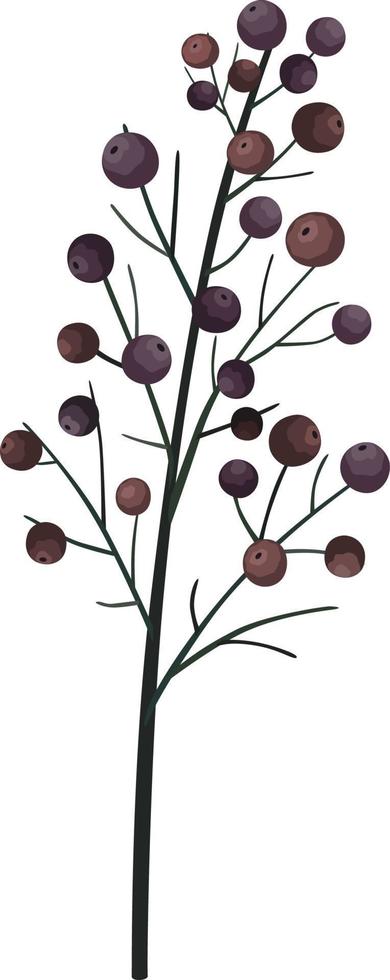 Berries on a branch vector