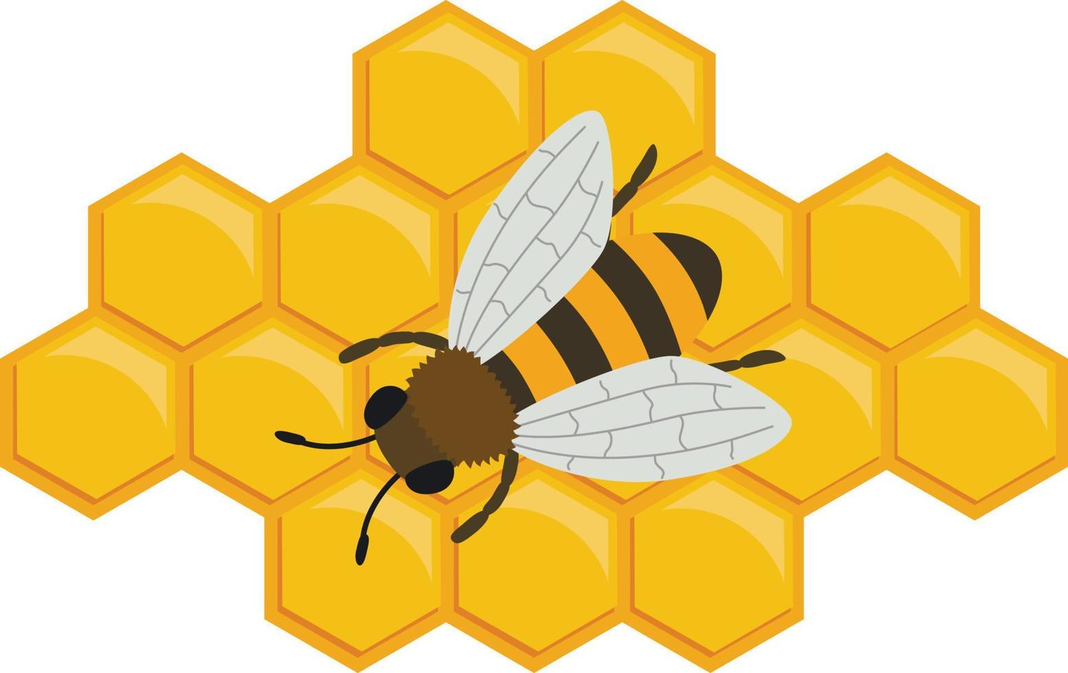 icon honeycomb illustration vector