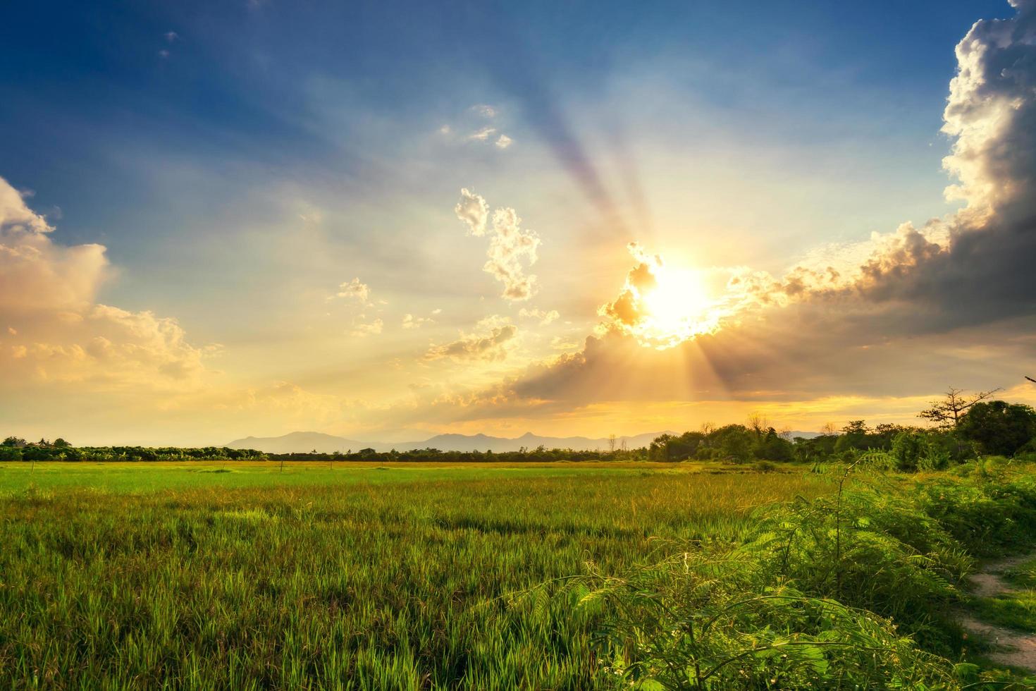 Landscapse of Field meadow and beautiful sunset photo