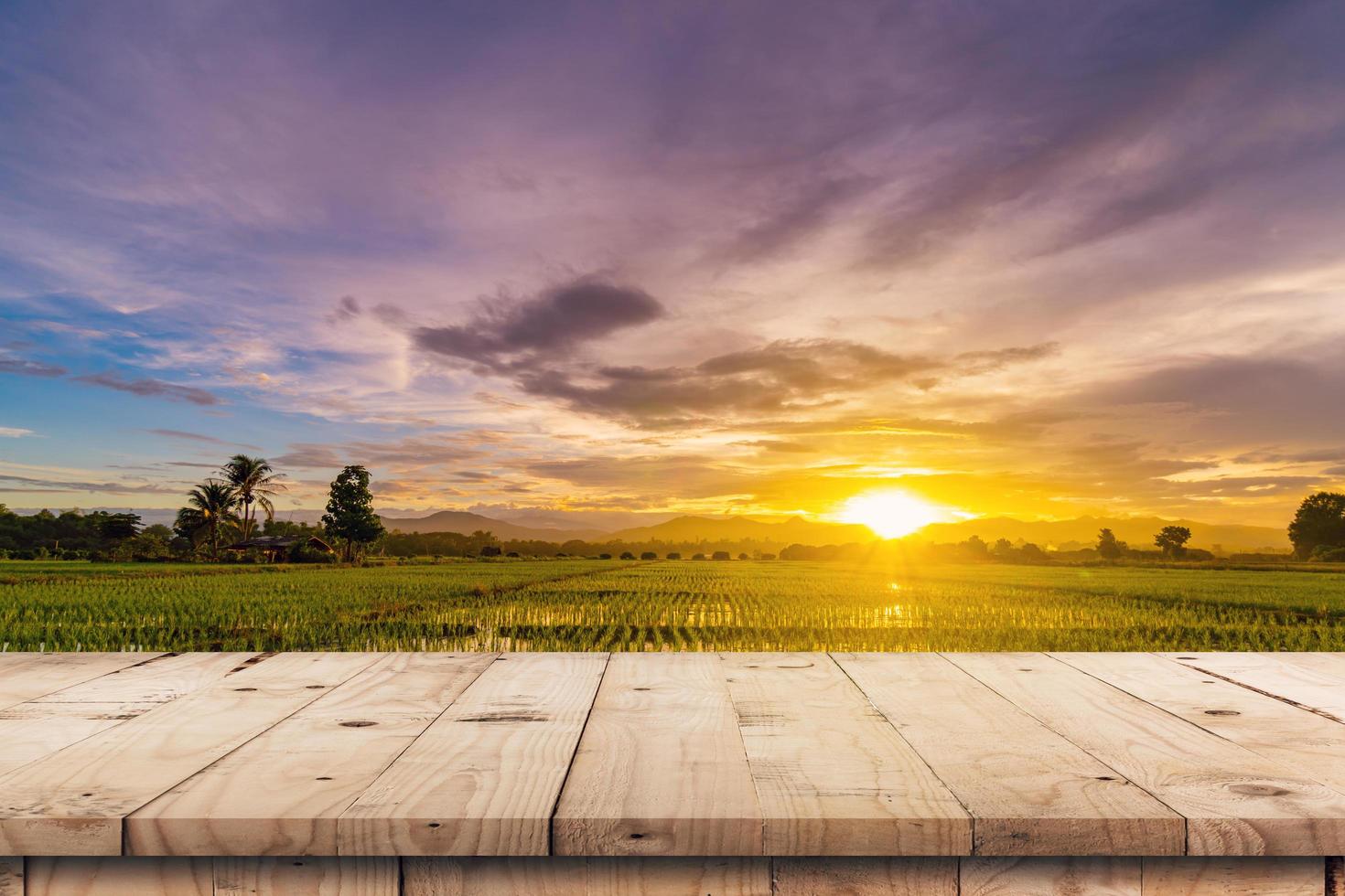 Rice field sunset and Empty wood table for product display and montage. photo
