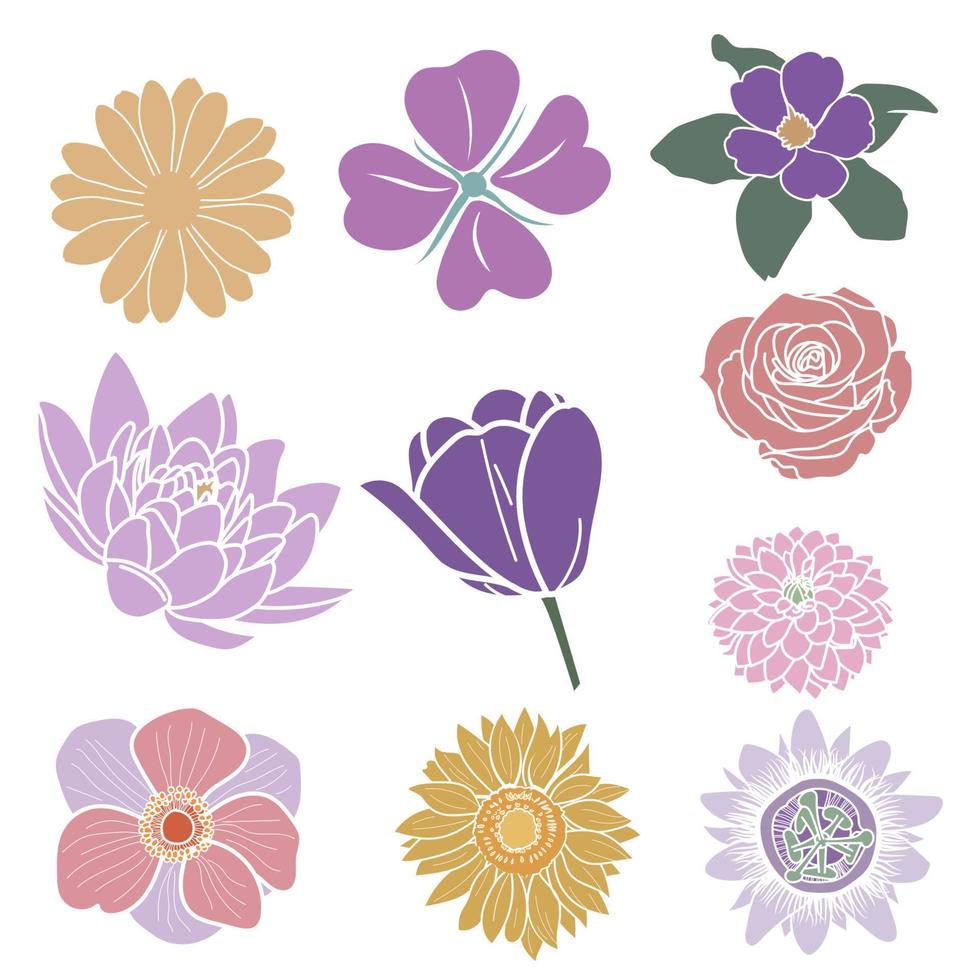 Simple blossom flowers bundle vector