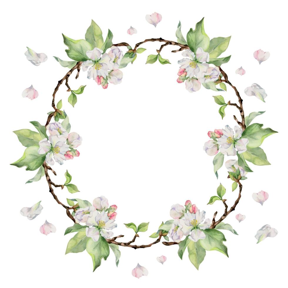 mano dibujado acuarela manzana flores, ramas y hojas, blanco, rosado y verde florecer. circulo redondo guirnalda. aislado en blanco antecedentes. diseño para pared arte, boda, imprimir, tela, cubrir, tarjeta. vector