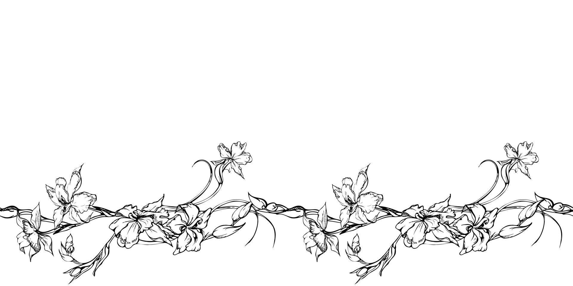 Hand drawn vector ink orchid flowers and branches, monochrome, detailed outline. Horizontal seamless banner. Isolated on white background. Design for wall art, wedding, print, tattoo, cover, card.