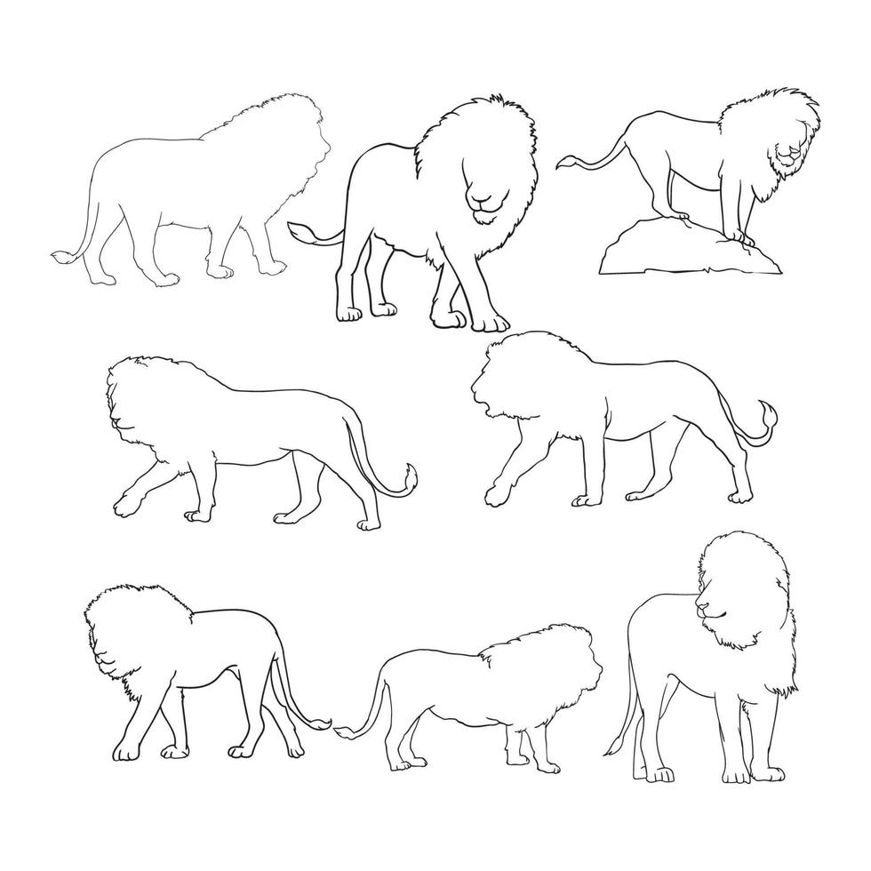 collection of outline images of the lion the king of the jungle vector