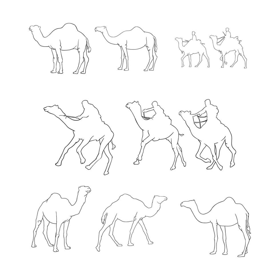 camel outline hand drawn collection 20704985 Vector Art at Vecteezy